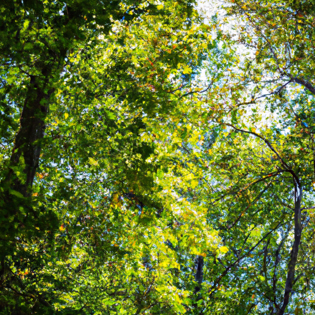 2024最佳代理IP服务商 – 代理IP