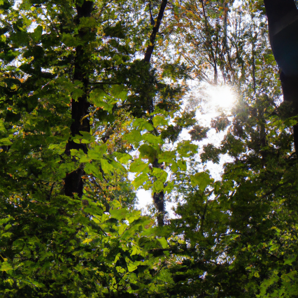 2024最佳代理IP服务商推荐