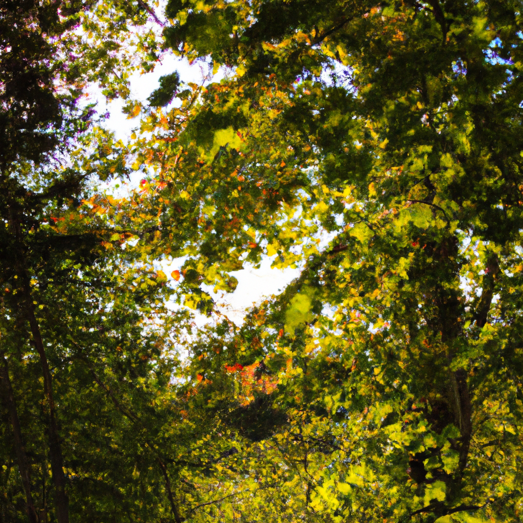 付费代理IP网络安全防护的重要性