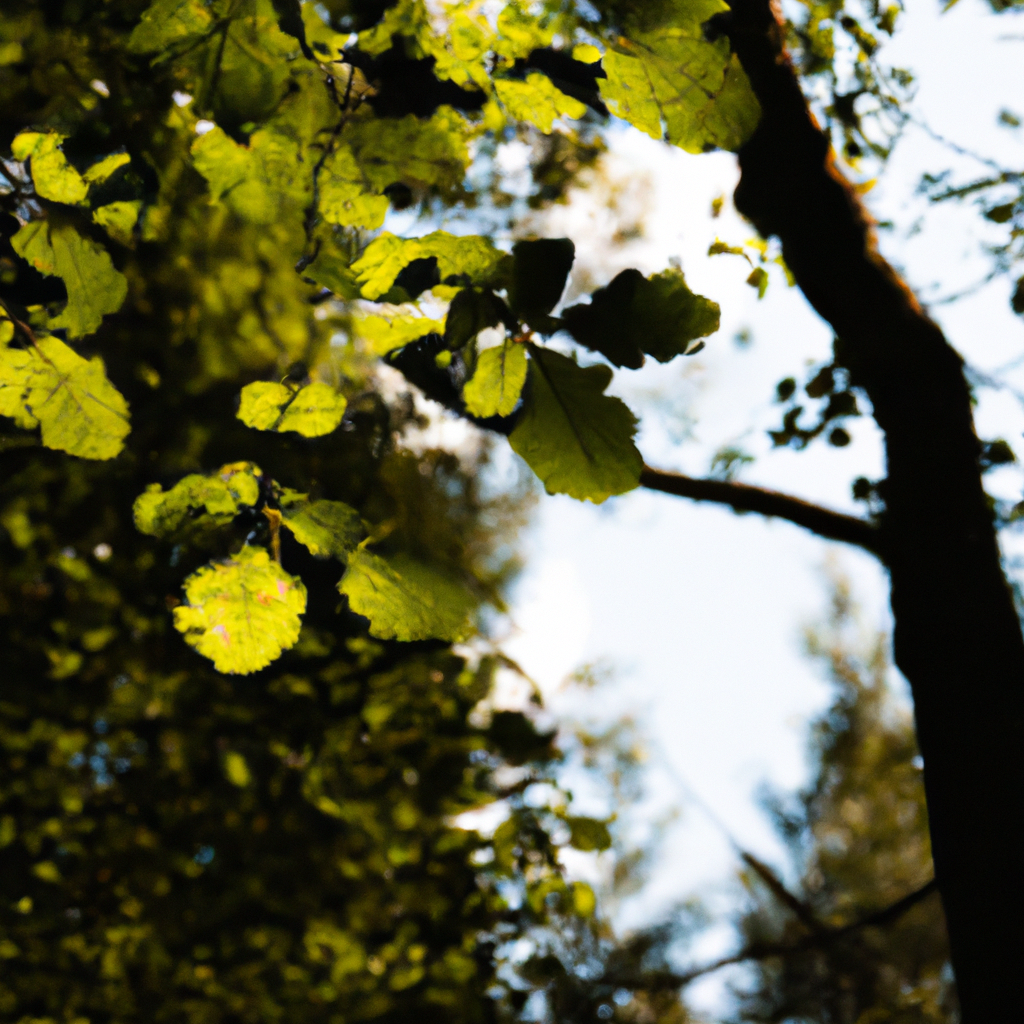 免费代理IP数据采集利器