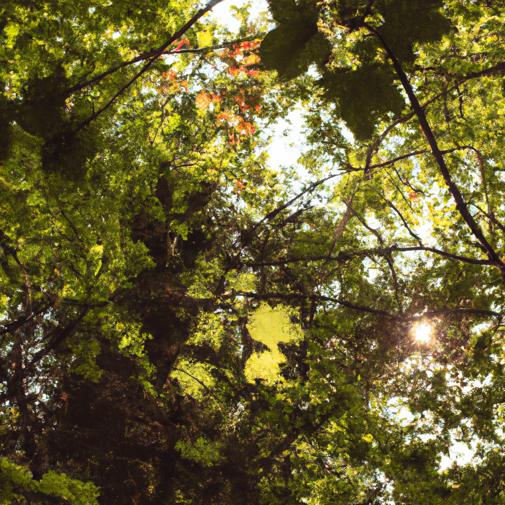 保障免费代理IP质量的秘诀