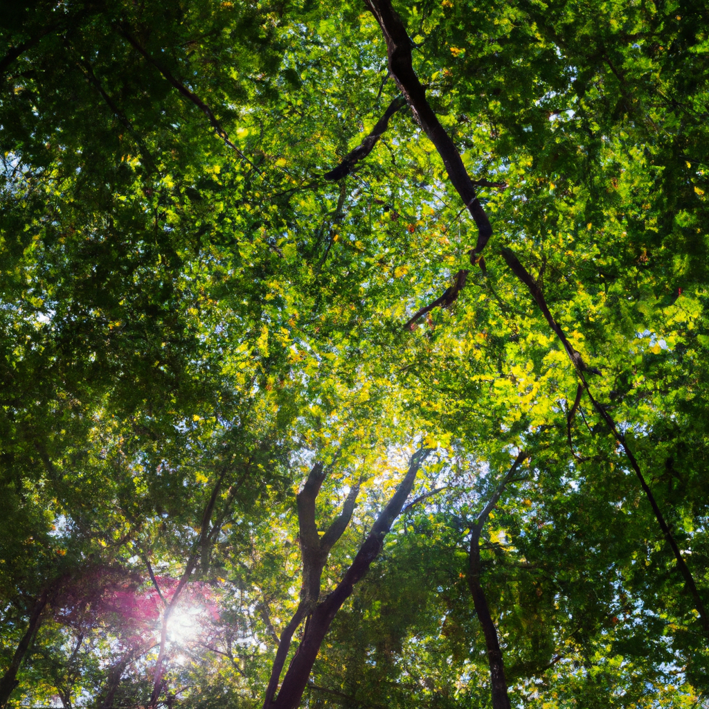 免费代理IP跨境电商实践