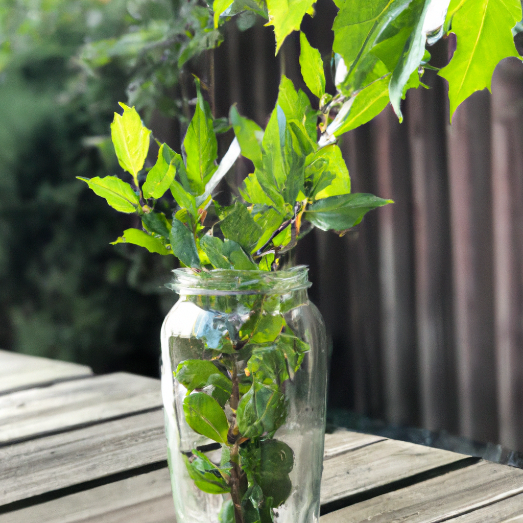 免费代理IP隐私政策保护