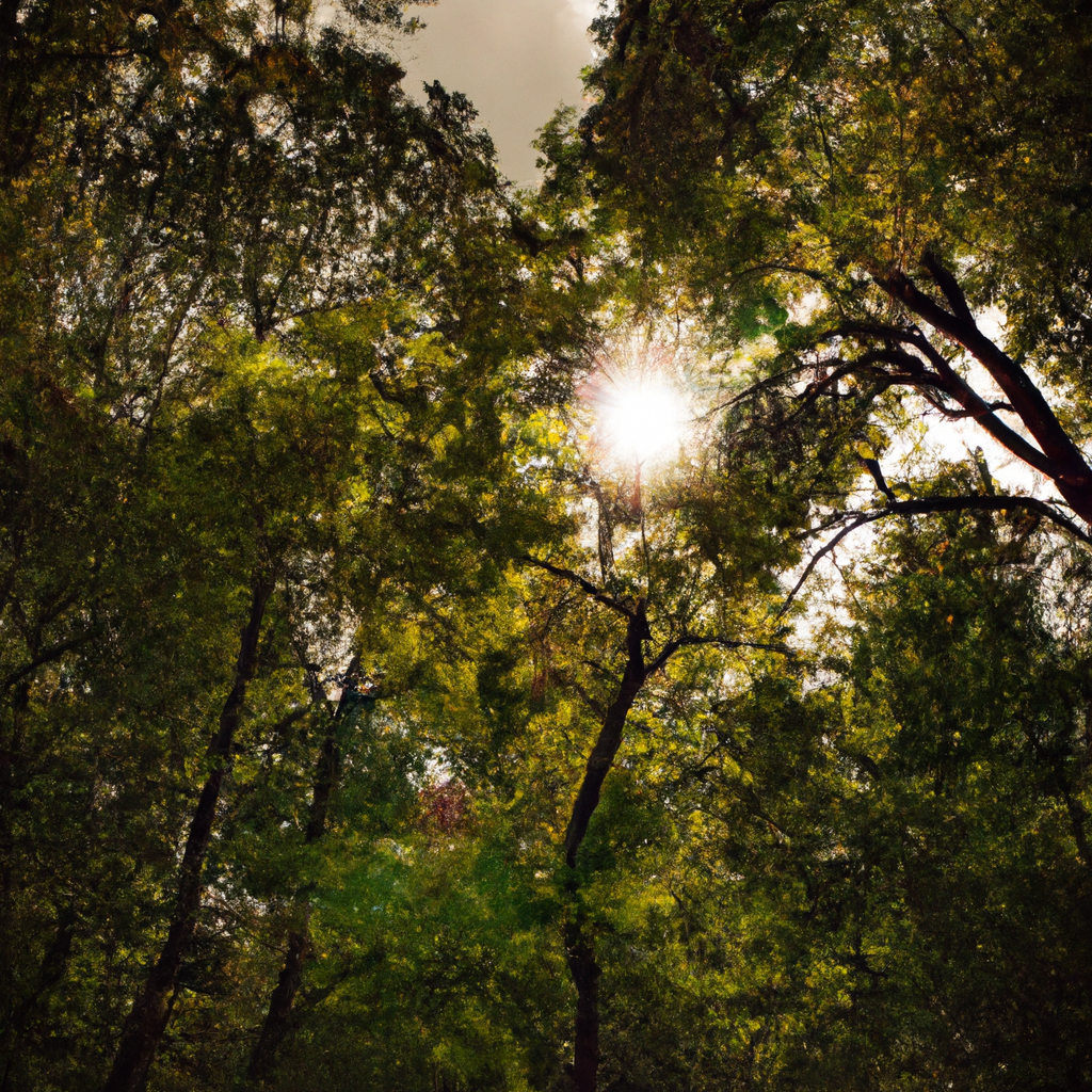 代理IP避免识别封锁的方法