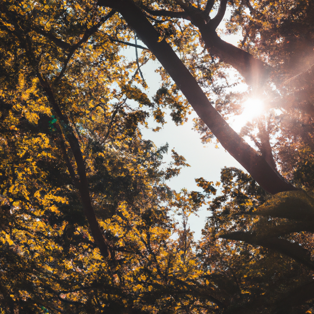 高匿代理IP网络安全保护解析