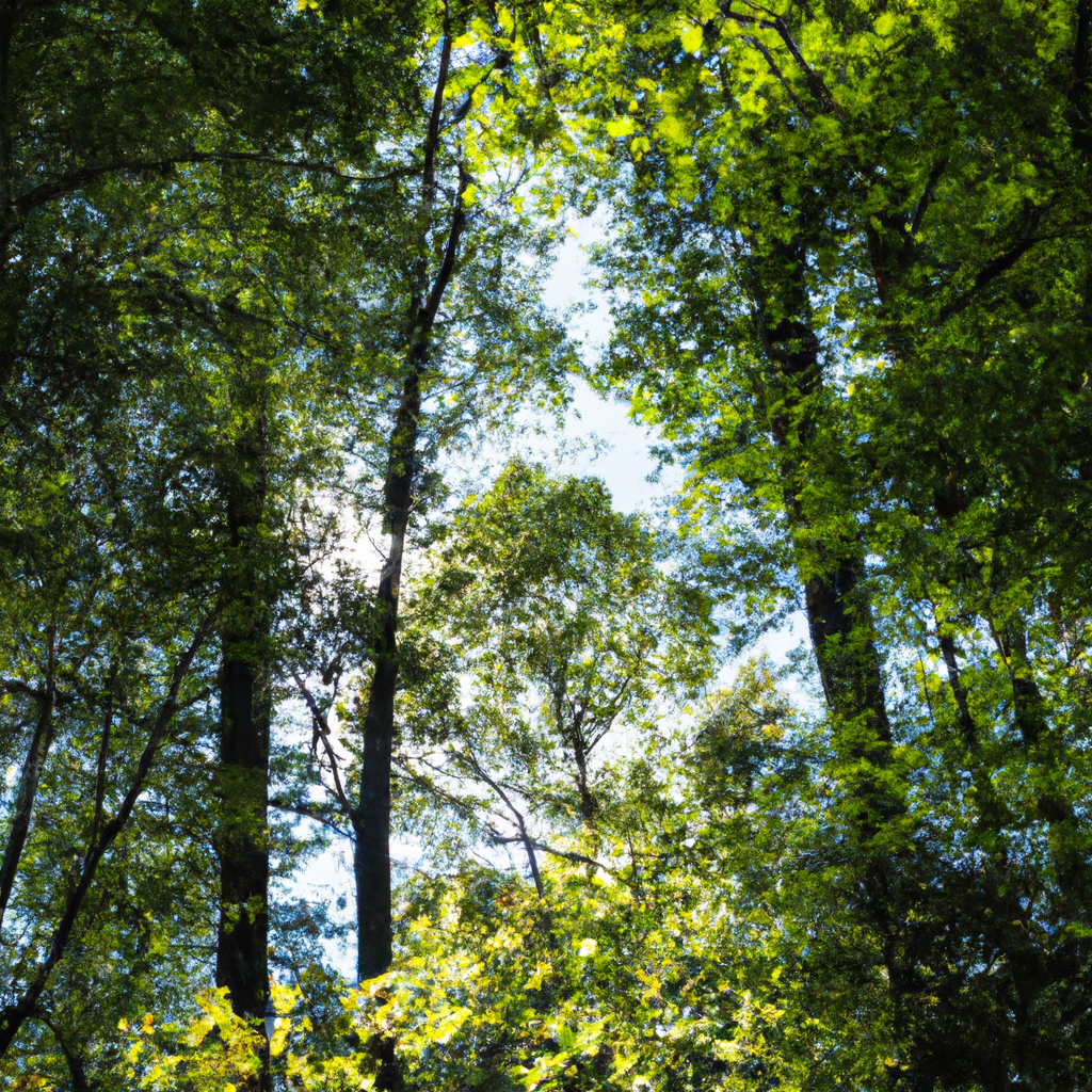 透明代理IP数据采集应用指南