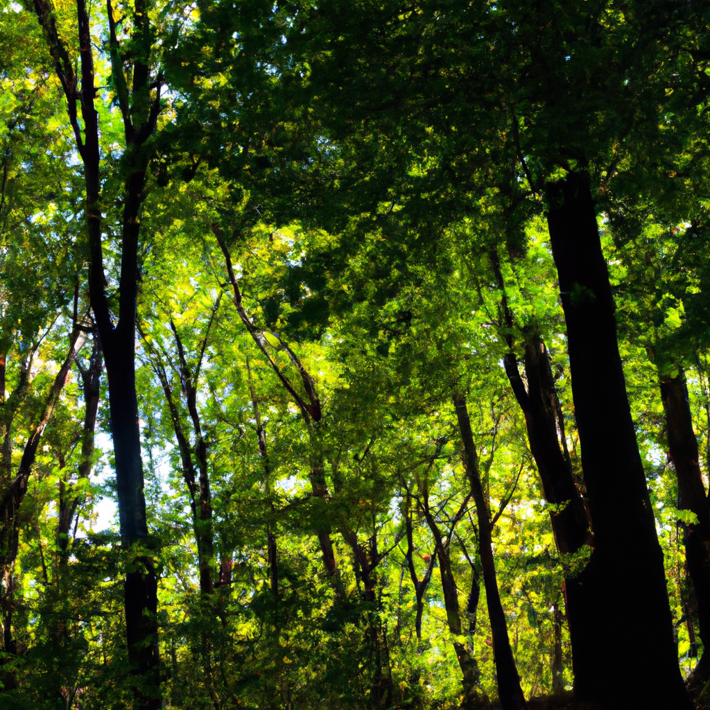 代理IP网络加速方法详解