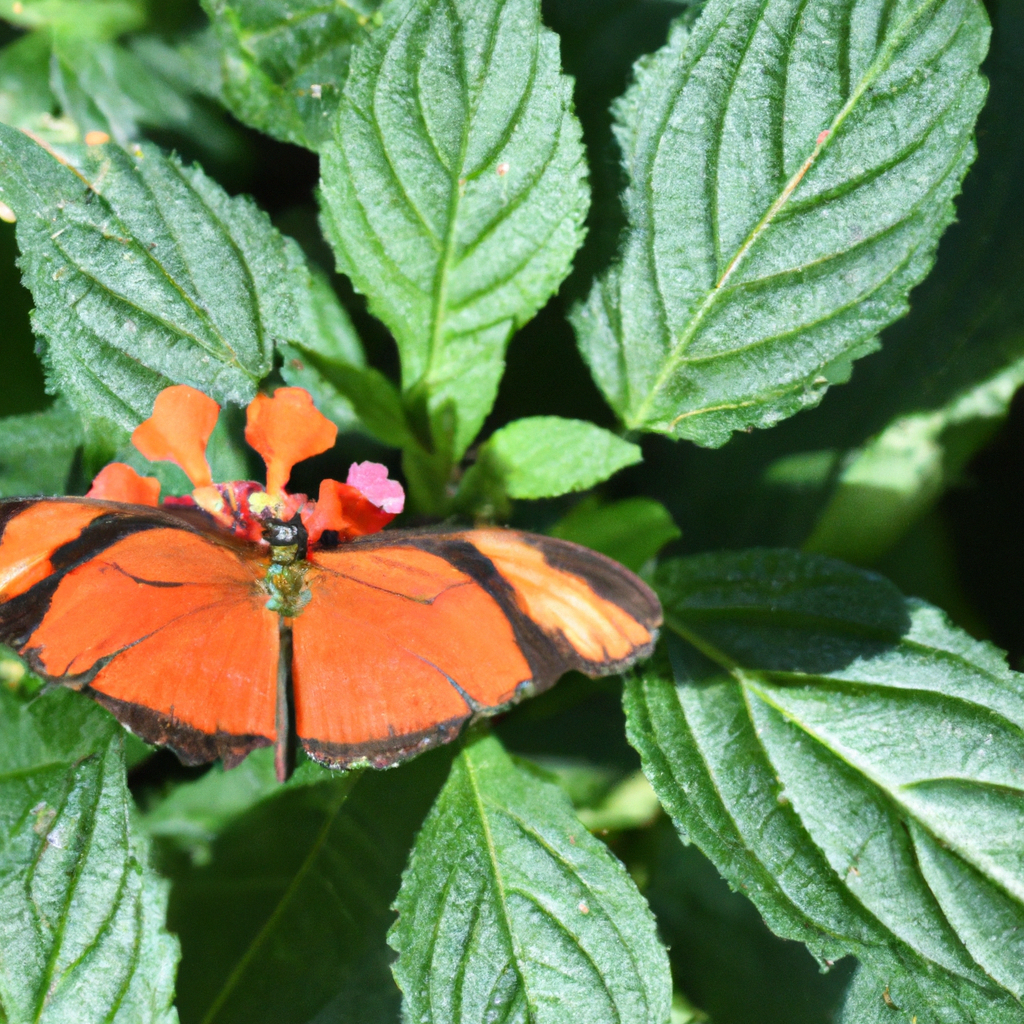 代理IP加速视频播放技巧
