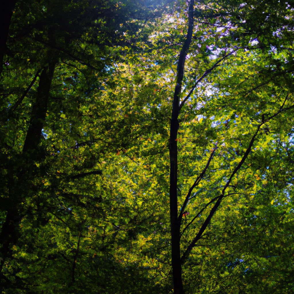 代理IP加速合作模式探讨