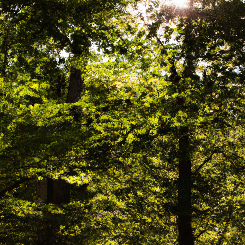 解决代理IP泄露风险的有效方法