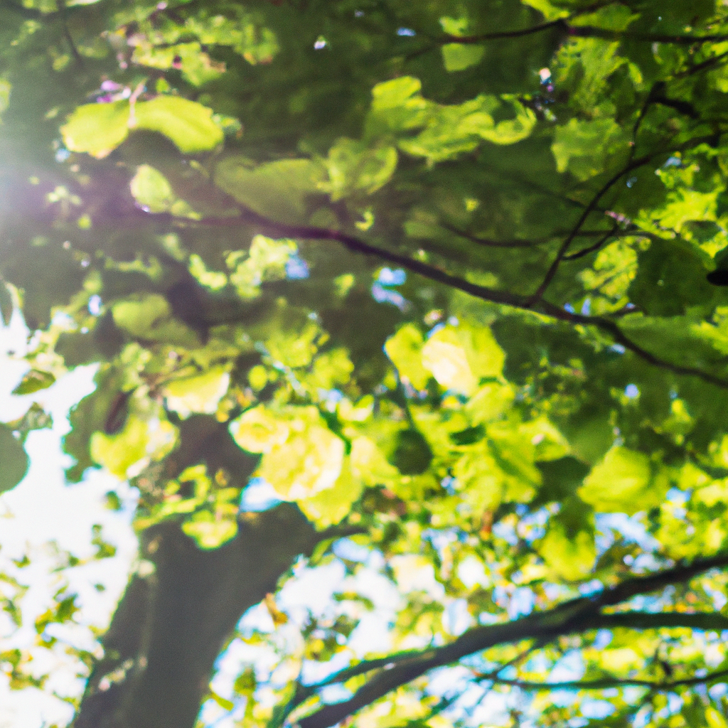 选择安全可靠代理IP服务商攻略