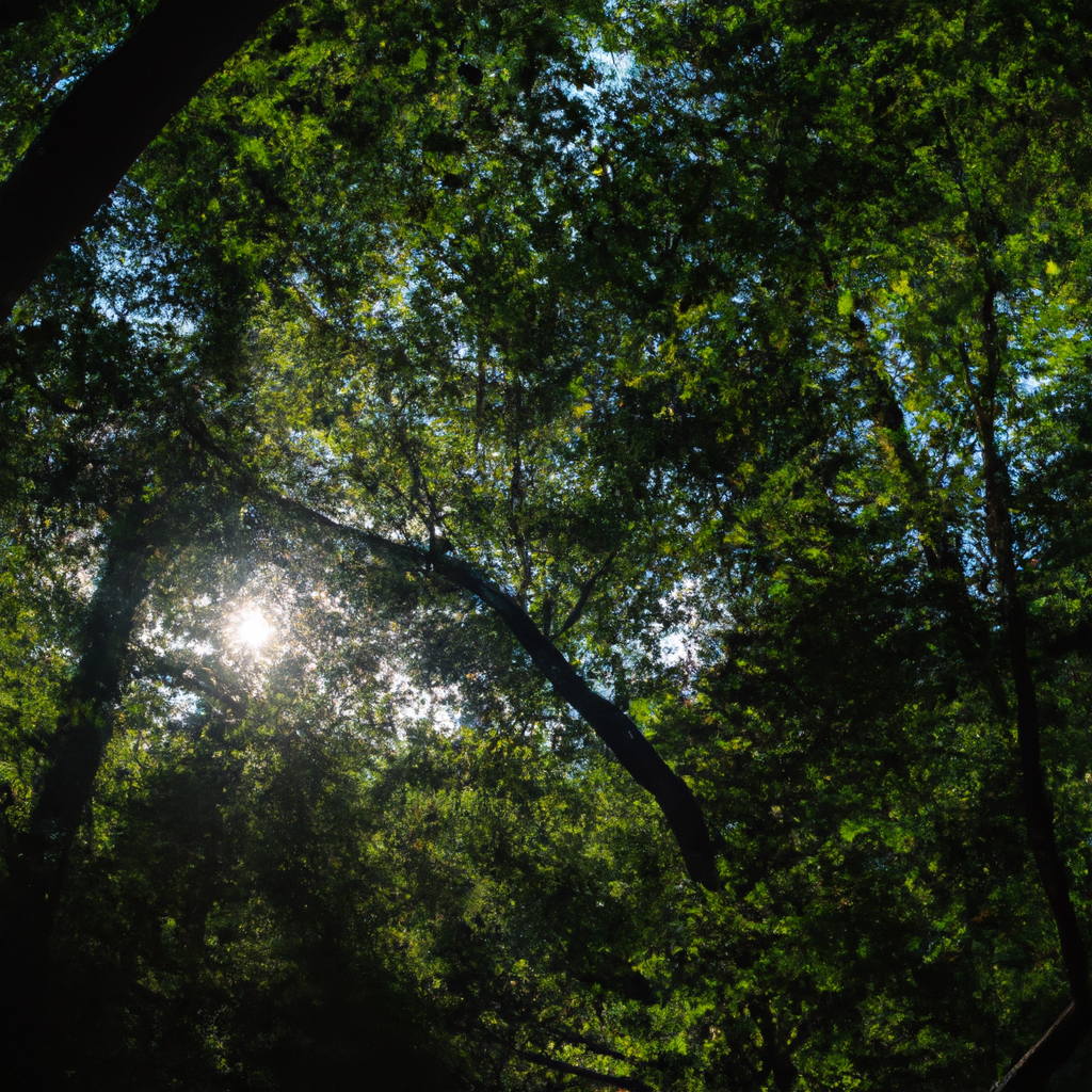 代理IP技术支持售后比较