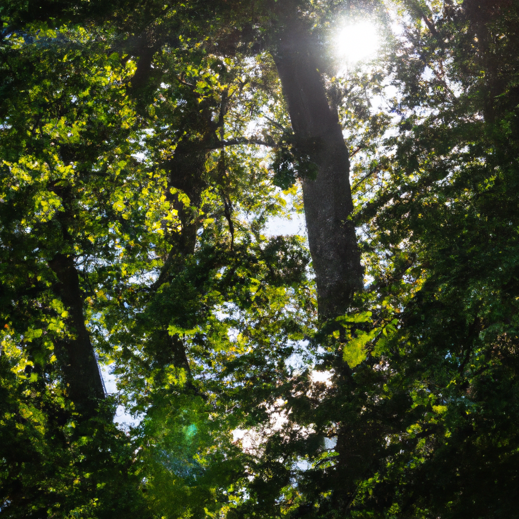 代理IP优缺点对比详解