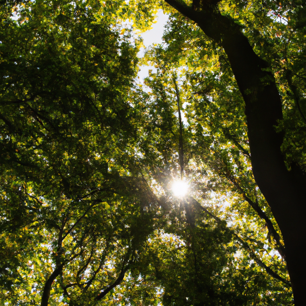 选择SSR代理IP服务商要点