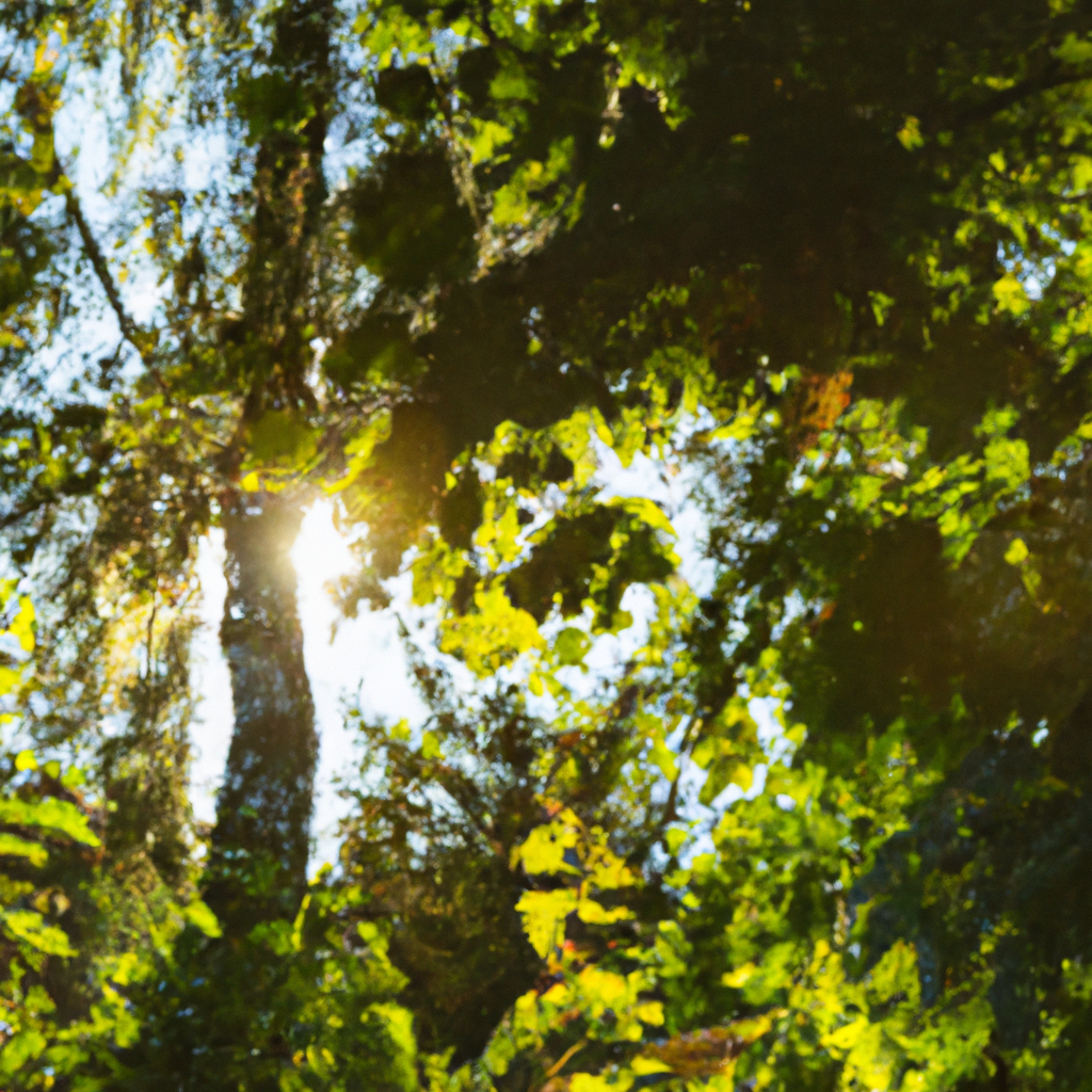 SSR代理IP常见问题解决方法