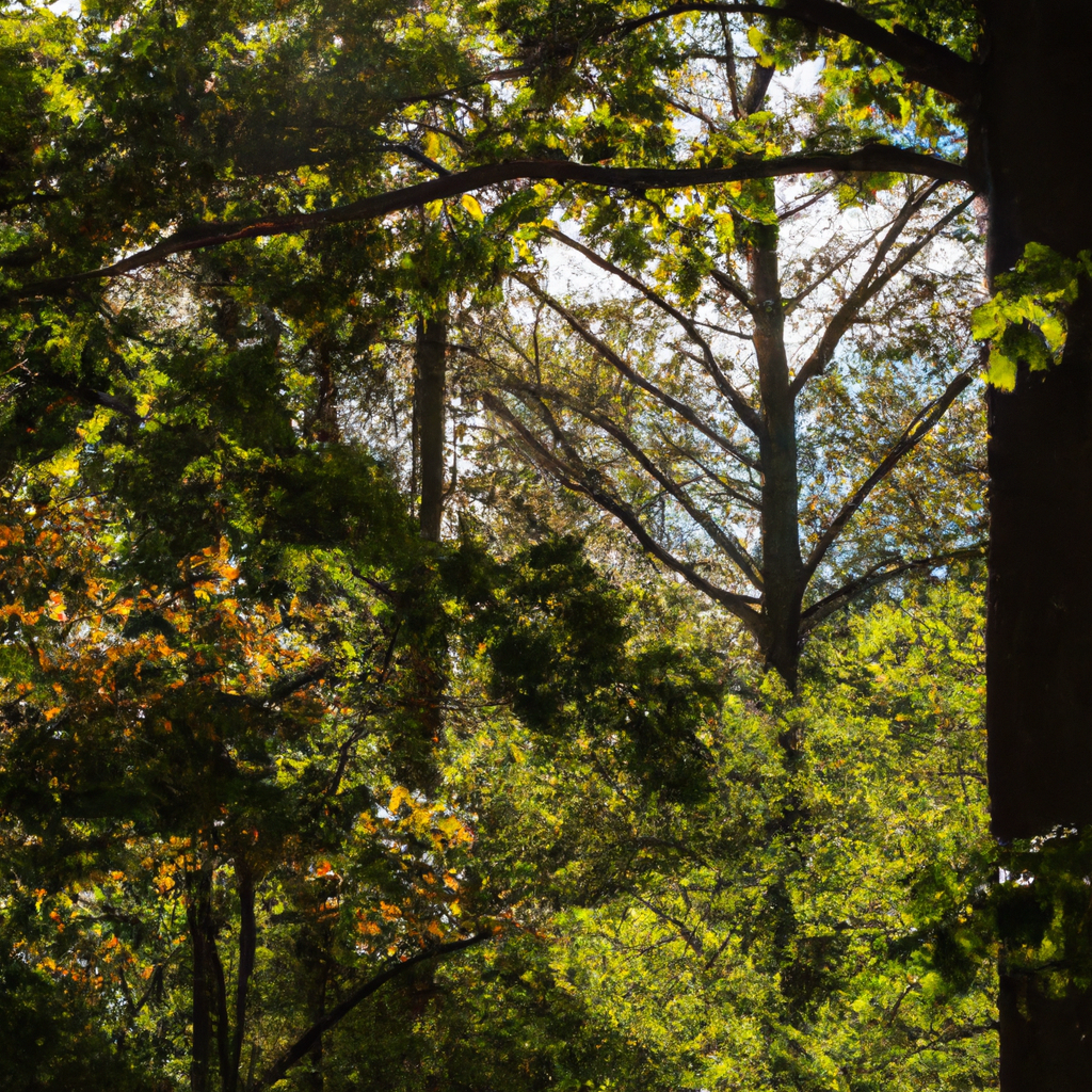 SSR代理IP隐私政策解析