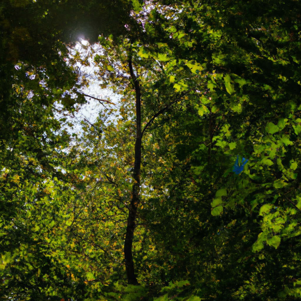 封禁后数据隐私安全保障策略