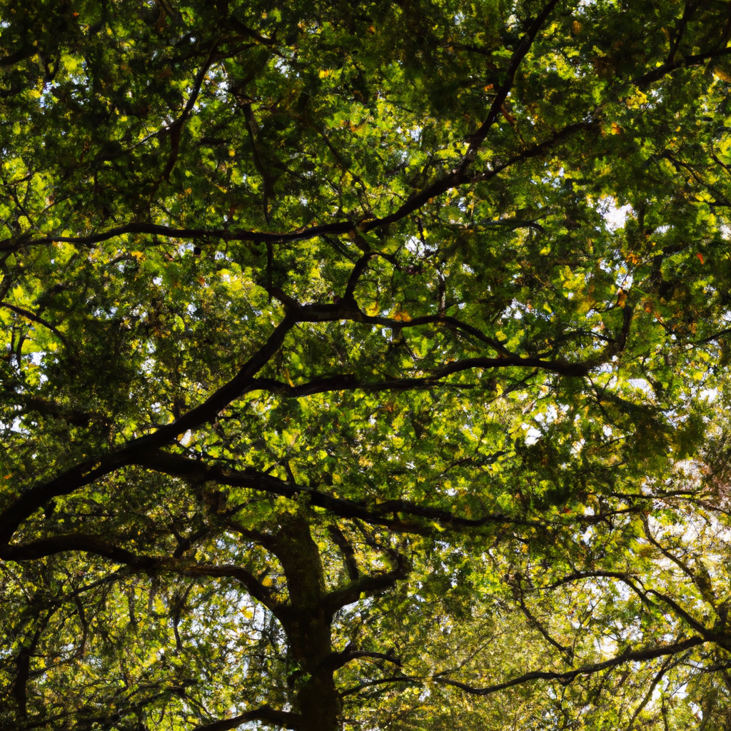 调整使用方式防封禁的秘诀