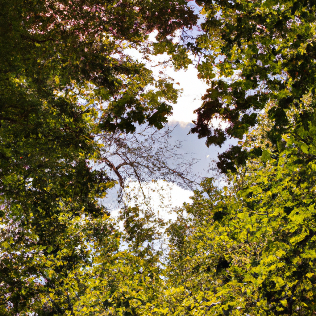 详解代理IP封禁解封流程步骤