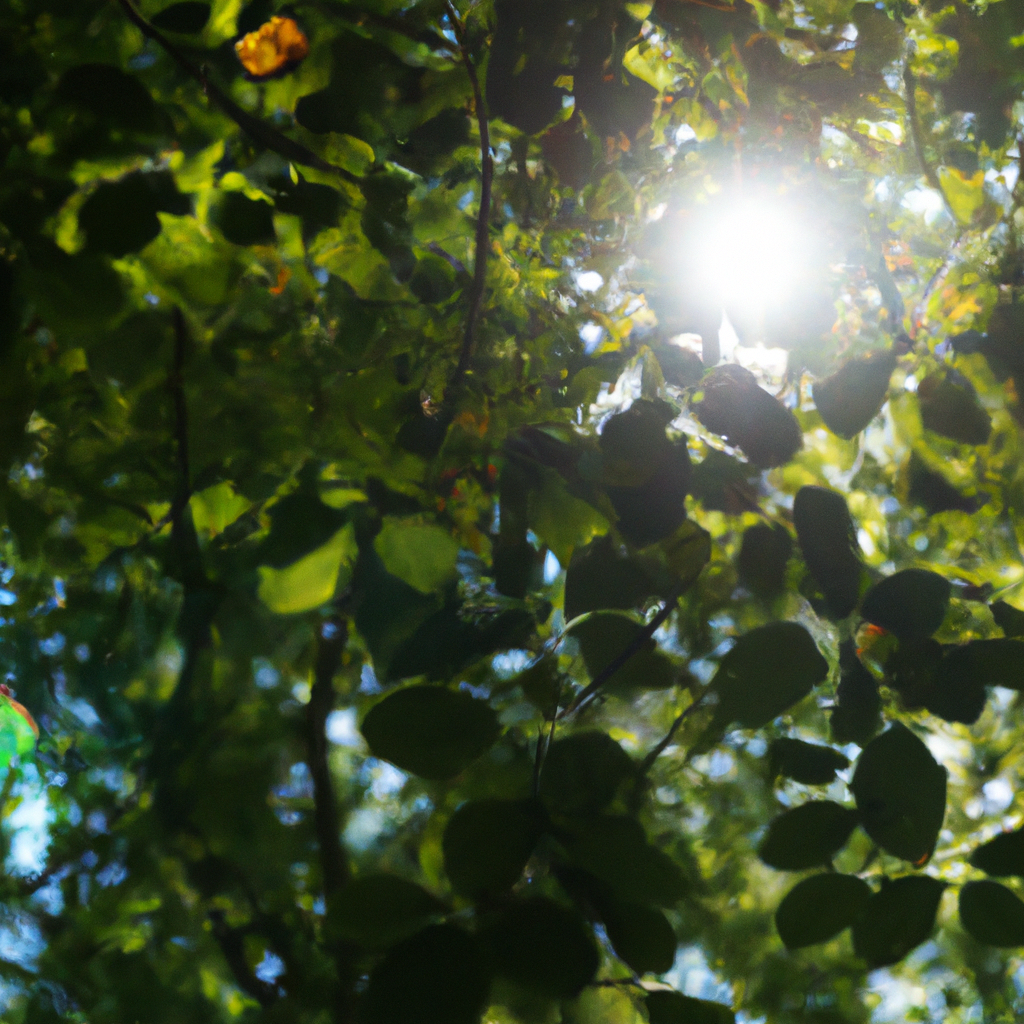 TOR代理IP匿名功能全解析