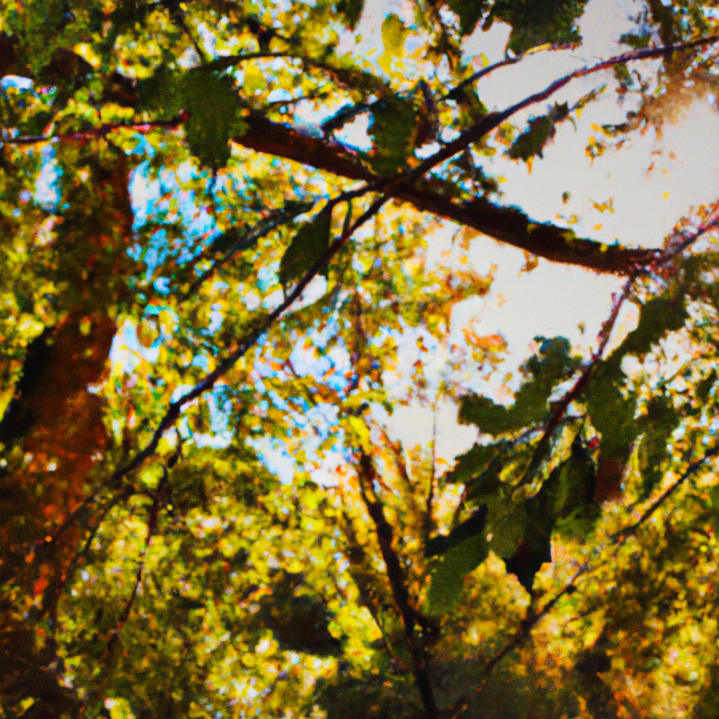 TOR代理IP与VPN比较