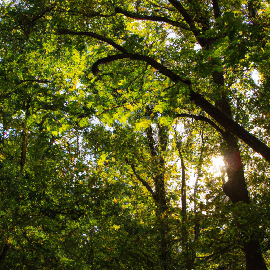 深入了解TOR代理IP节点架构