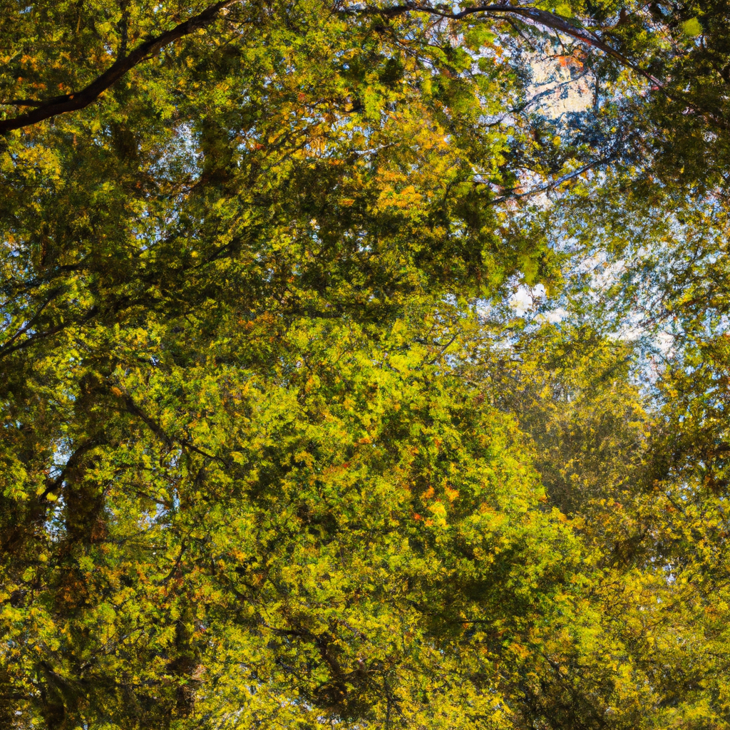 合法使用代理IP:规范操作指南