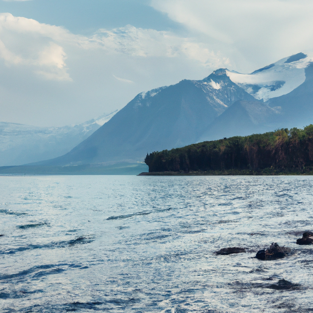 遵守代理IP法律条款详解