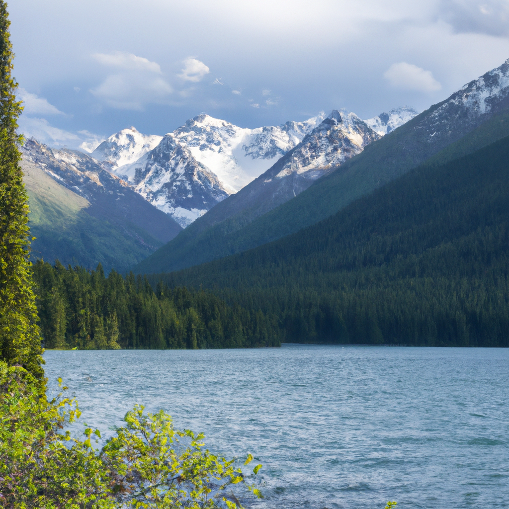 代理IP合规检测指南