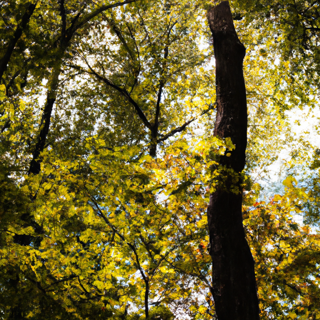 代理IP反爬虫关系解析